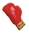 Boxing Glove